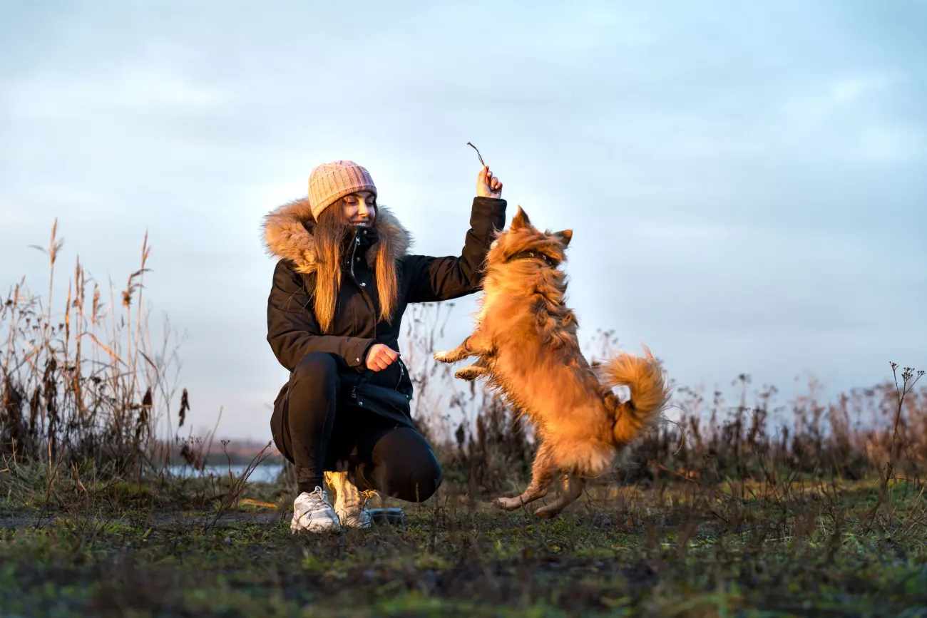 L’éducatrice joue avec un chien roux dans un champ en hiver