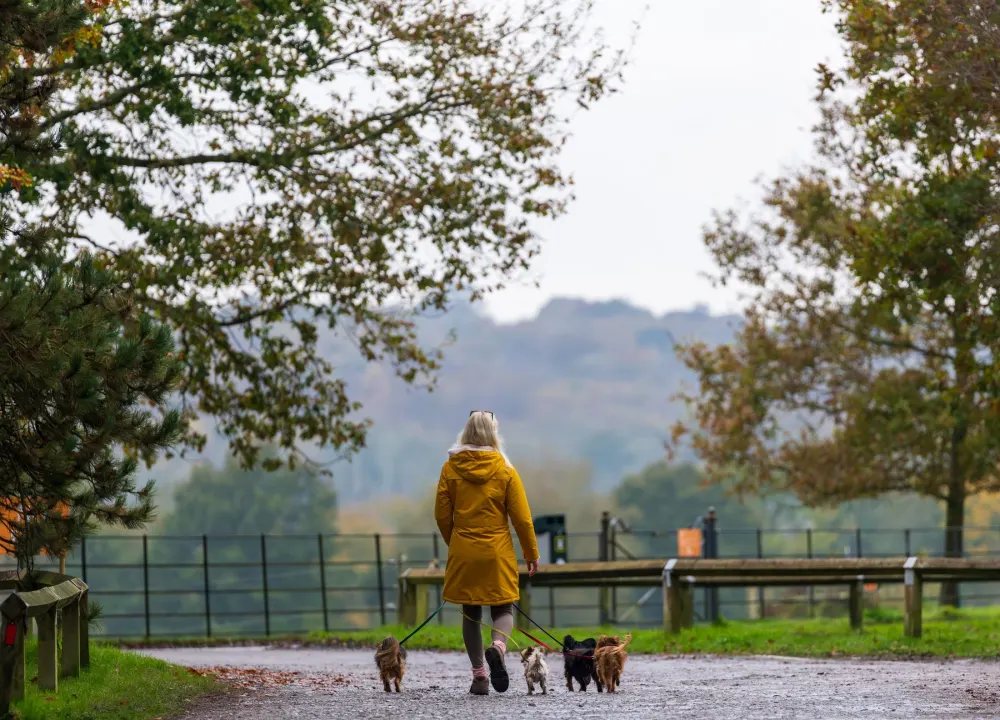 Promenade groupée le long d’une rivière en automne