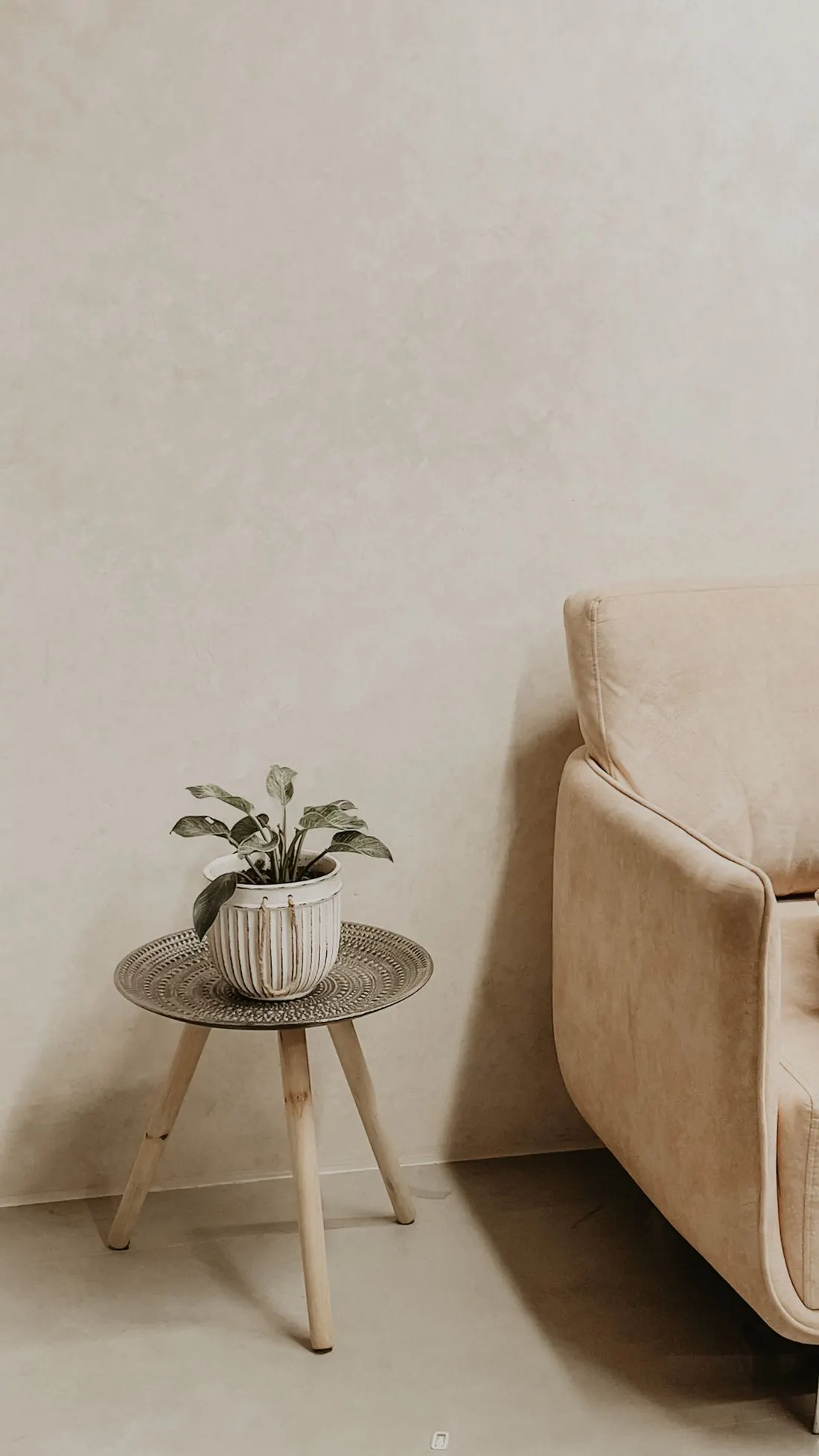 Fauteuil et plante devant un mur beige