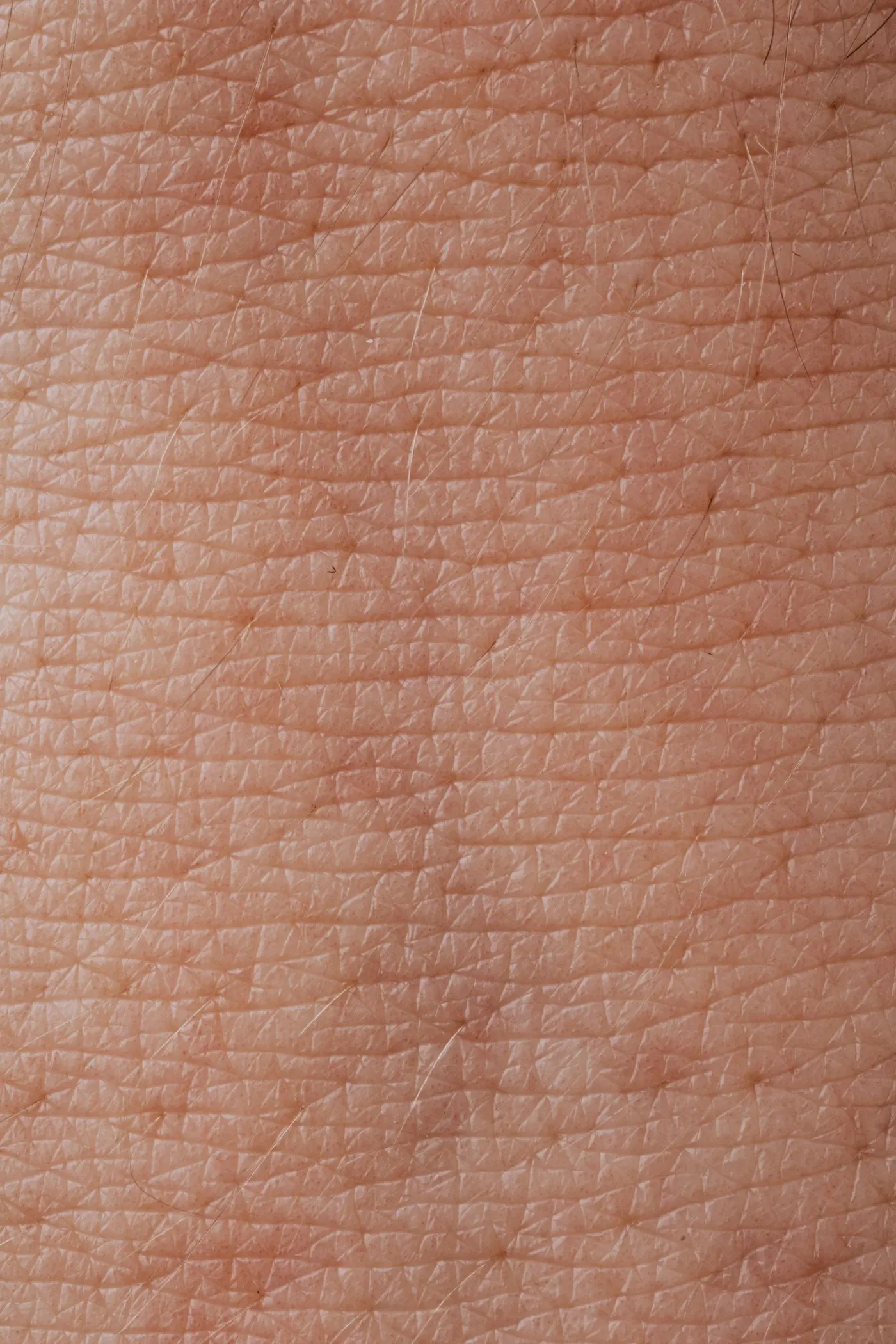 Macrographie d'une peau lisse