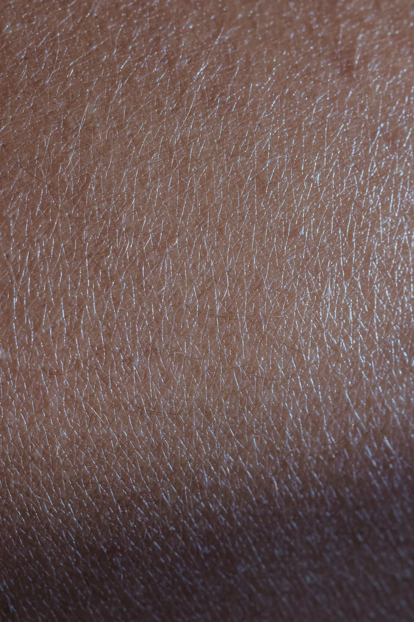 Macrographie d'une peau entretenue