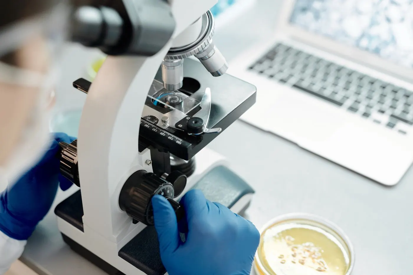 Analyse au microscope