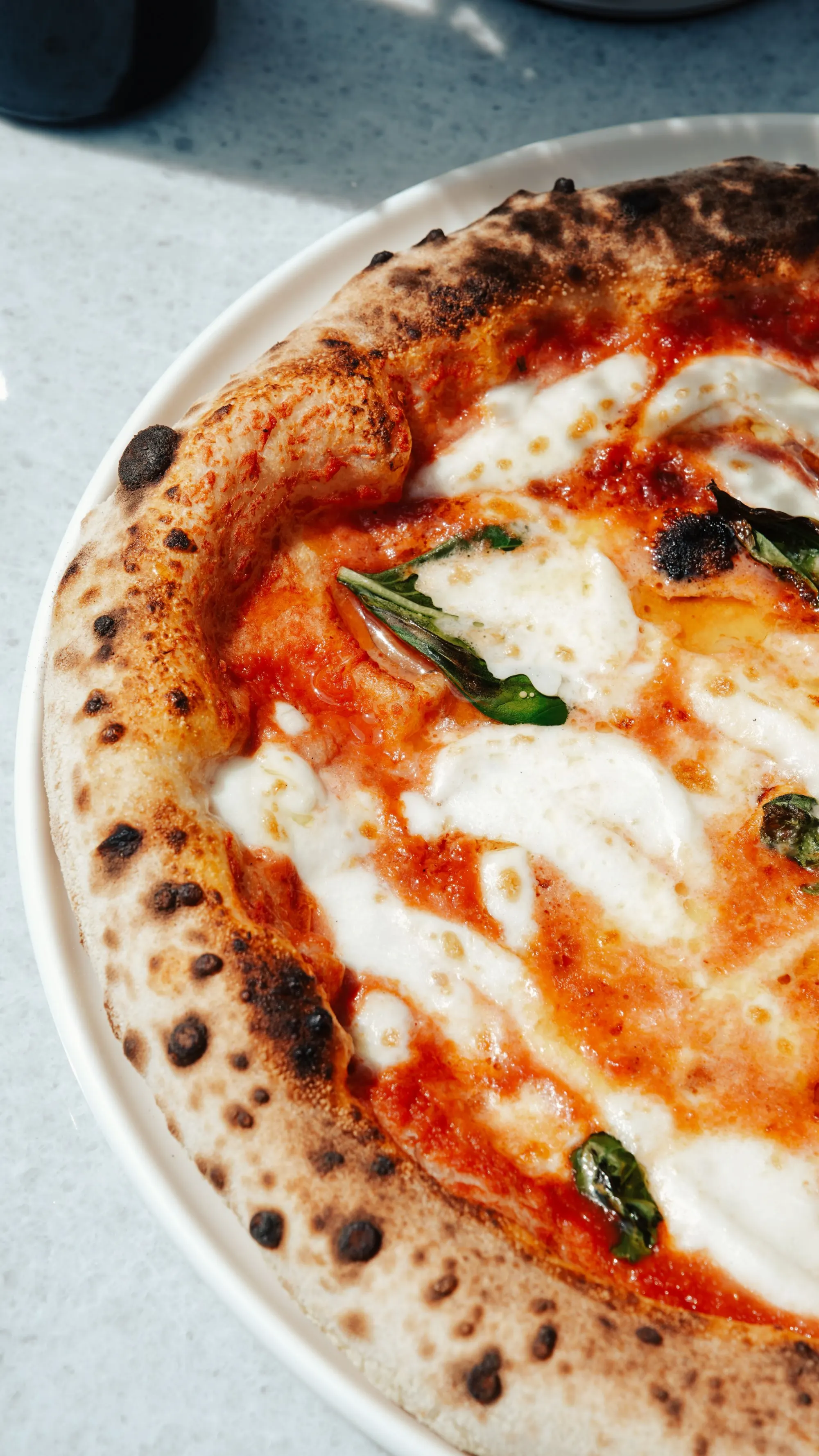Pizza napolitaine sortie du four, mozzarella fondante, basilic frais et bord légèrement brûlé