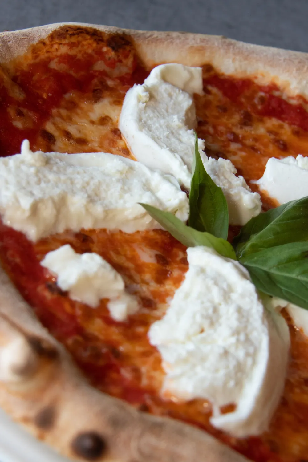 Pizza à la burrata crémeuse et basilic