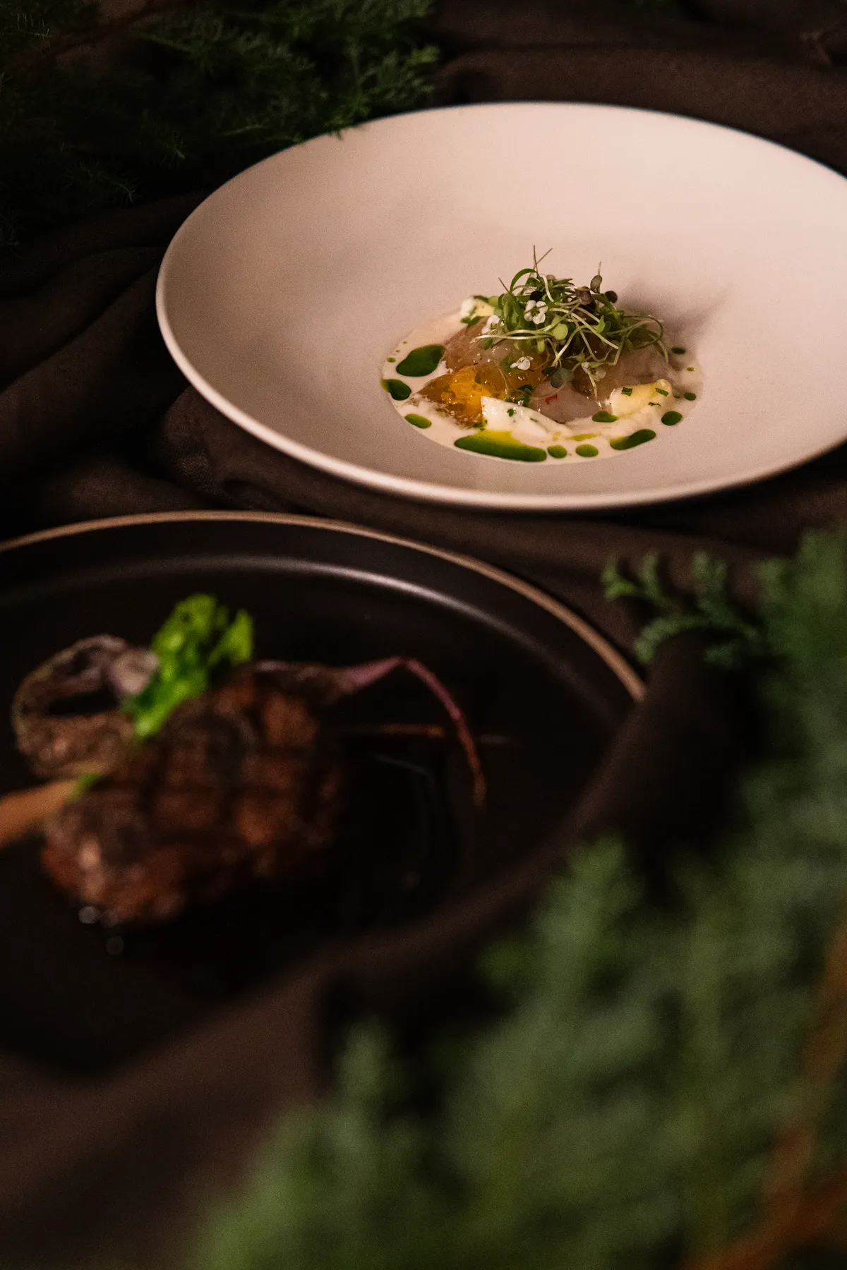 Œuf parfait et champignons des bois dans une assiette creuse