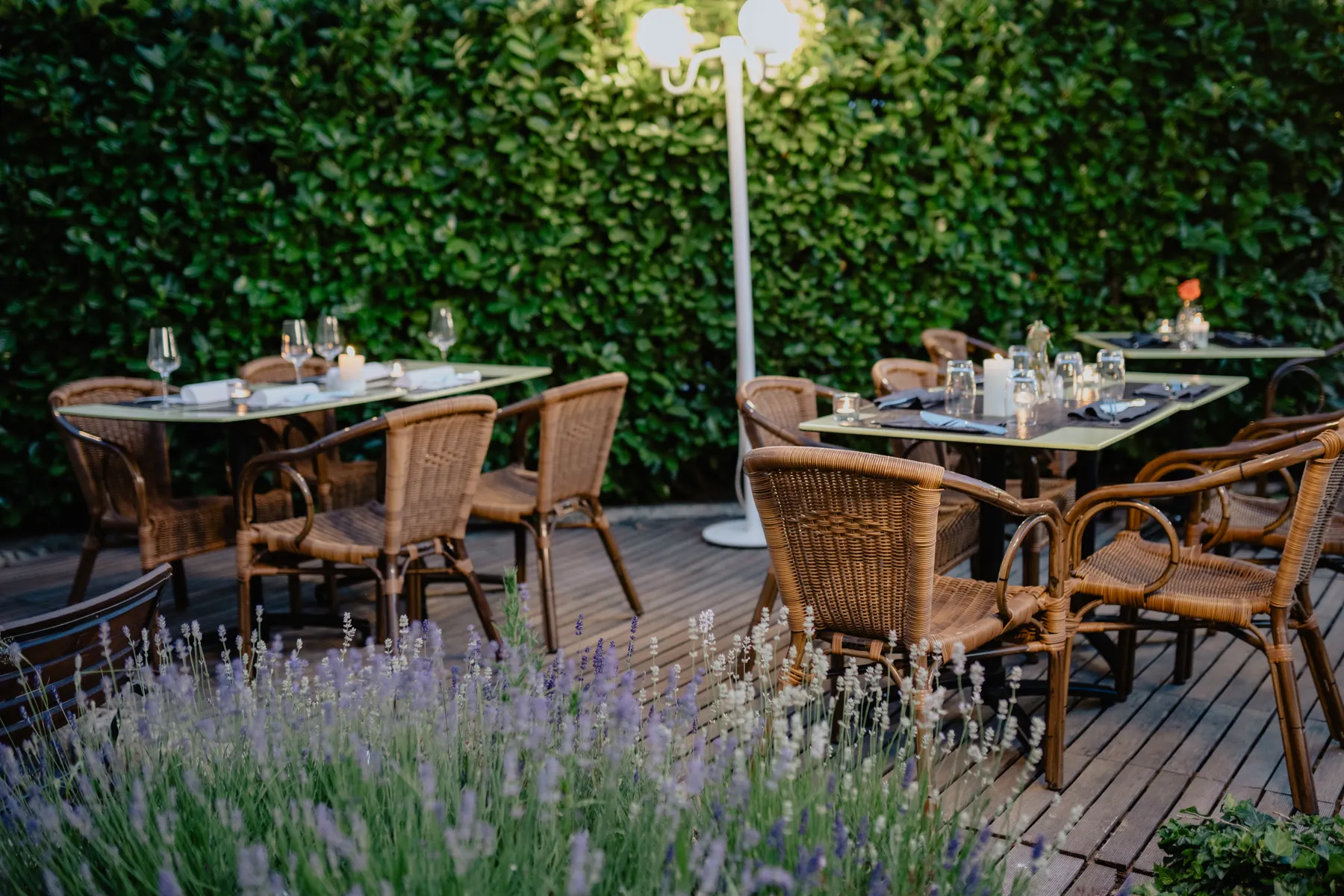 La terrasse fleurie de lavande